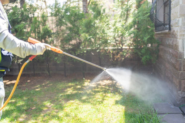 Best Insect Control  in Ventress, LA