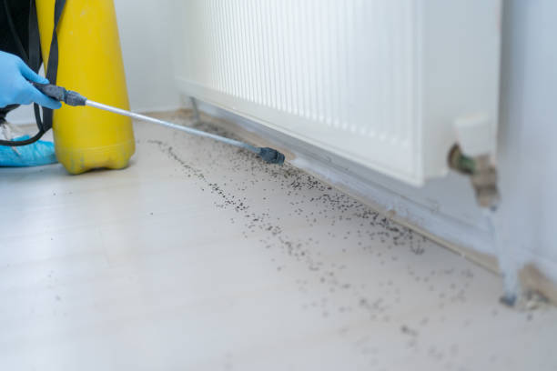 Best Affordable Pest Control Services  in Ventress, LA